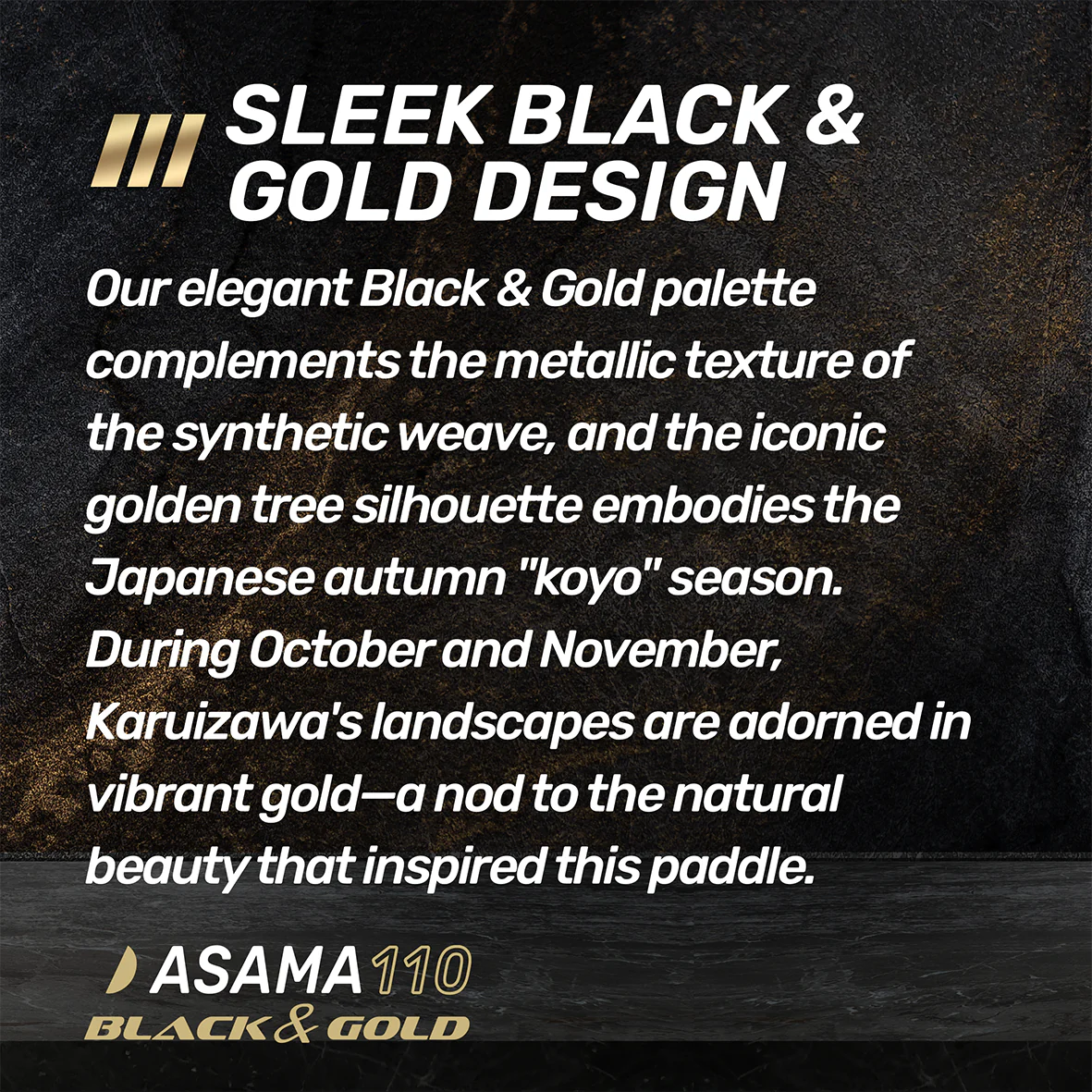 ASAMA 110 BLACK & GOLD (14MM) / アサマ 110 シリーズ ピックルボールパドル