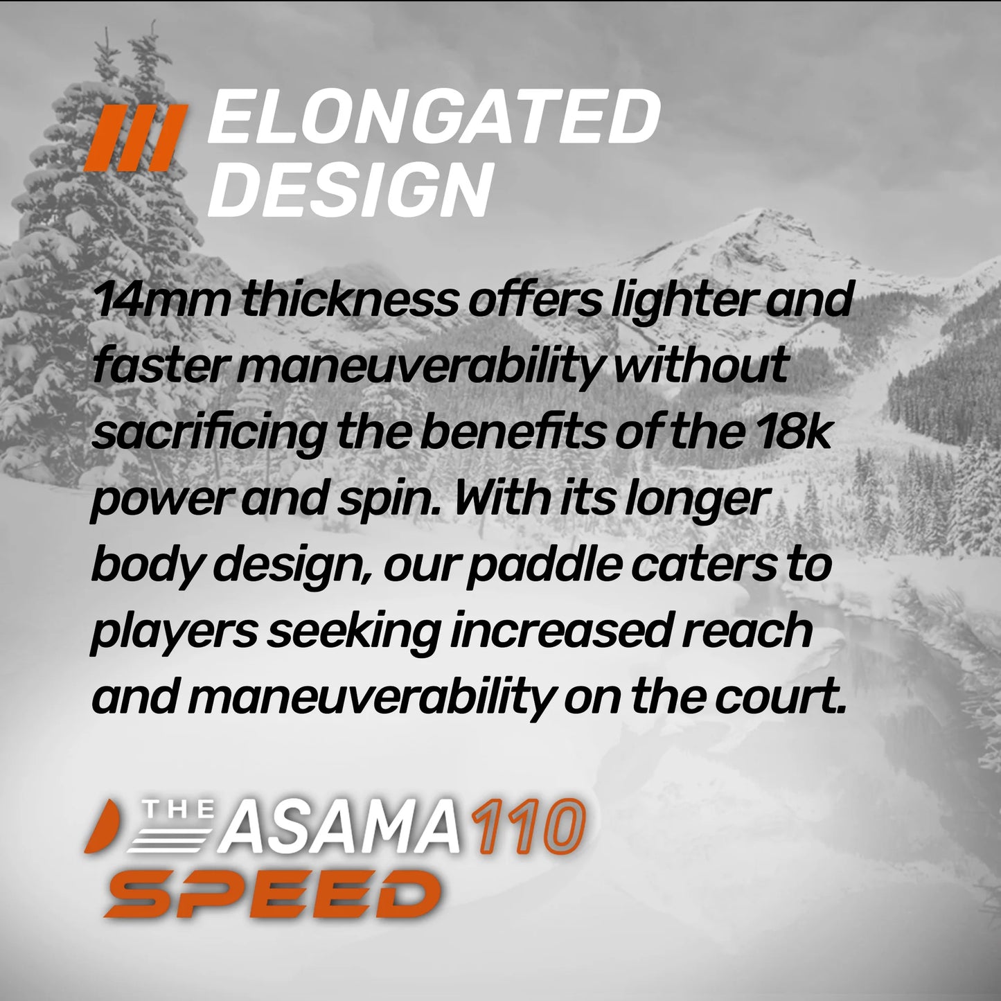 The ASAMA 18k SPEED (14mm) / アサマ 110 シリーズ ピックルボールパドル