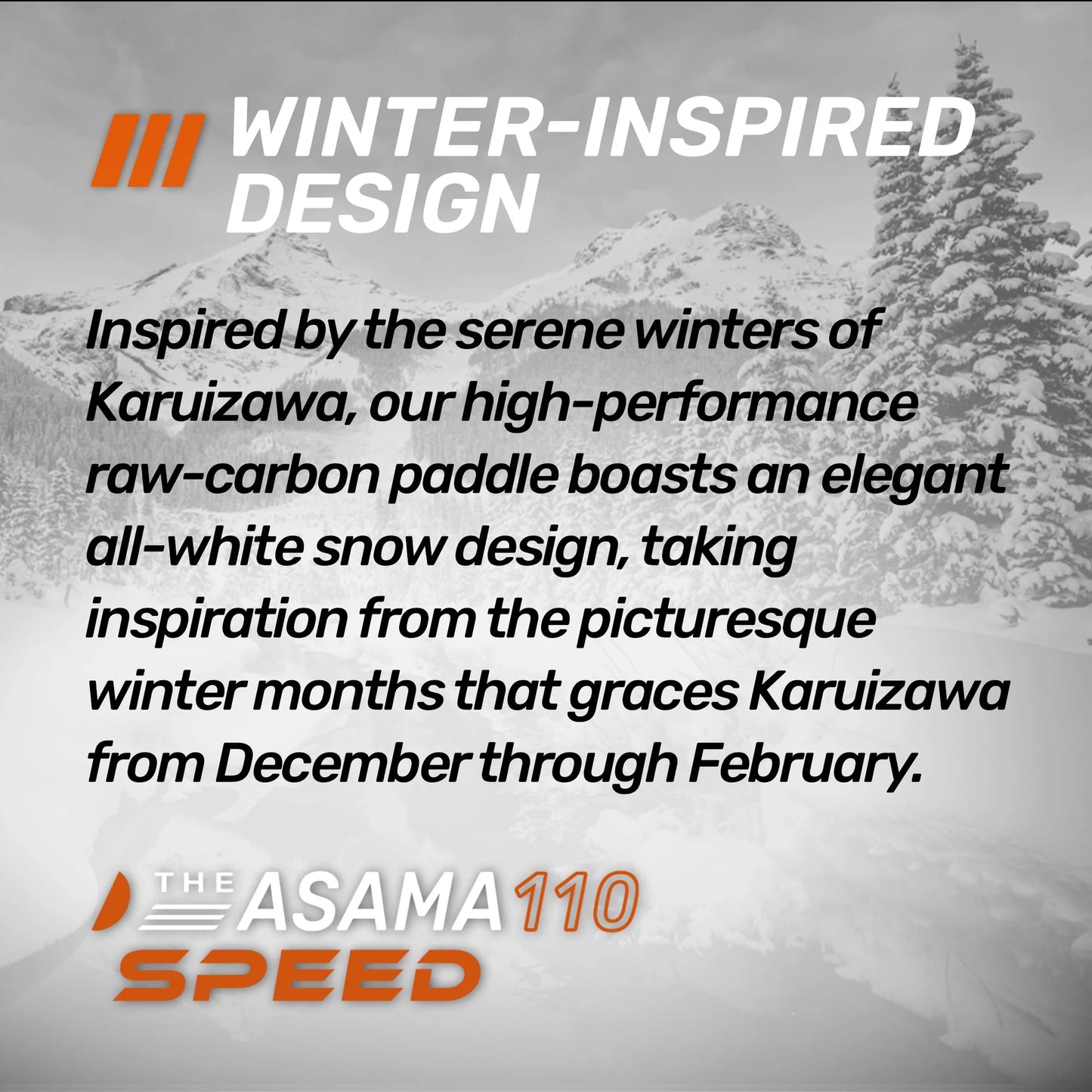 The ASAMA 18k SPEED (14mm) / アサマ 110 シリーズ ピックルボールパドル
