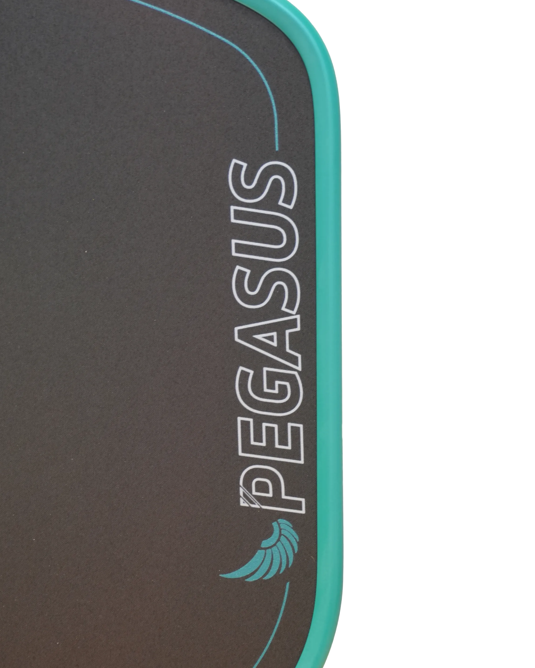 Pegasus Power 2 ティール ロゴ面
